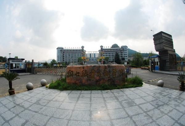 The school gate