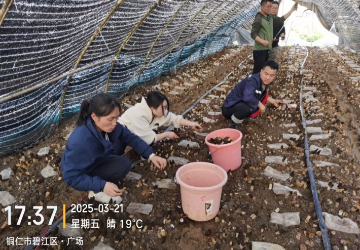 微信截图_20250324204746.png