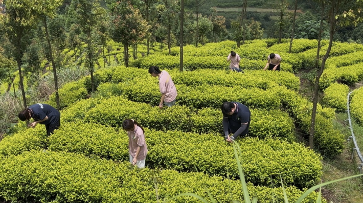 江口县桃映镇3.png