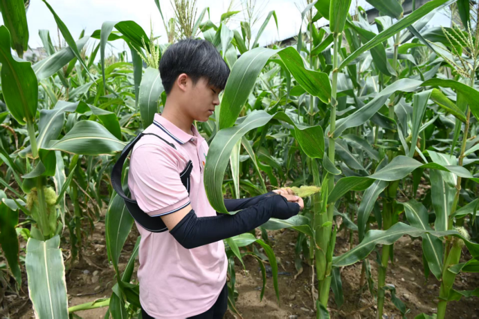江口县桃映镇11.png