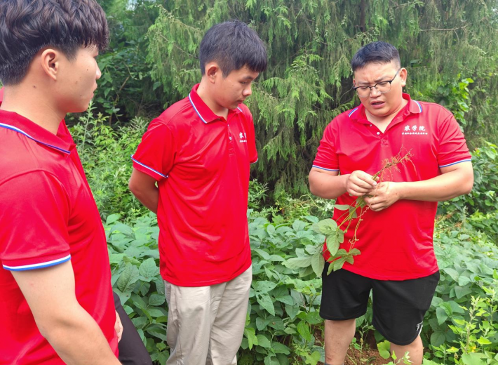 青春服务助农忙1.png