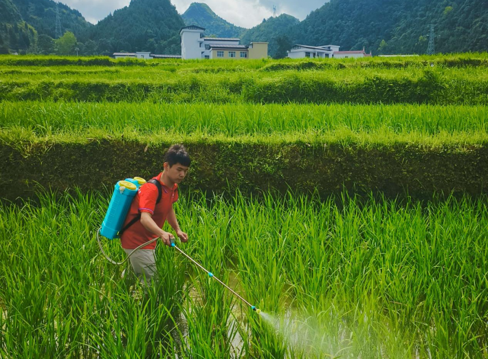 青春服务助农忙3.png