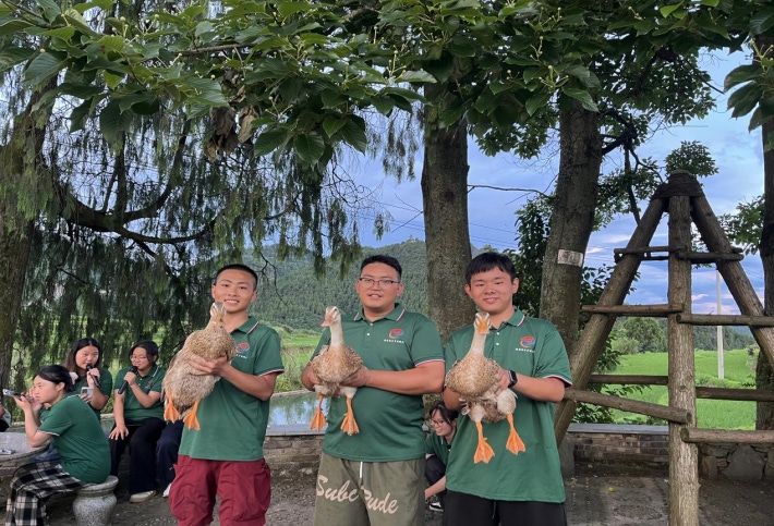 稻鸭双兴启新程1.png