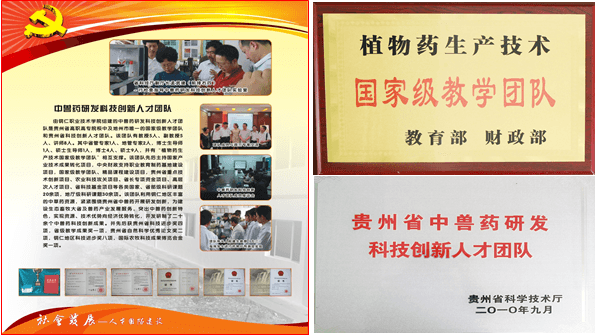 人才团队.png