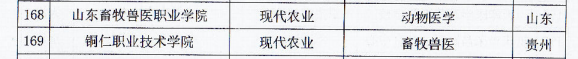 教学创新团队3.png