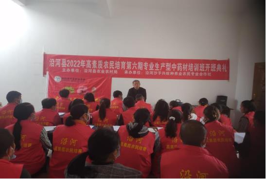 bcab0ca9ac2418225729163fe11fc07.jpg
