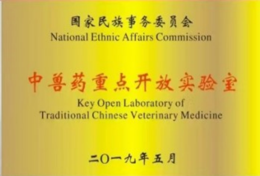 图片11.png